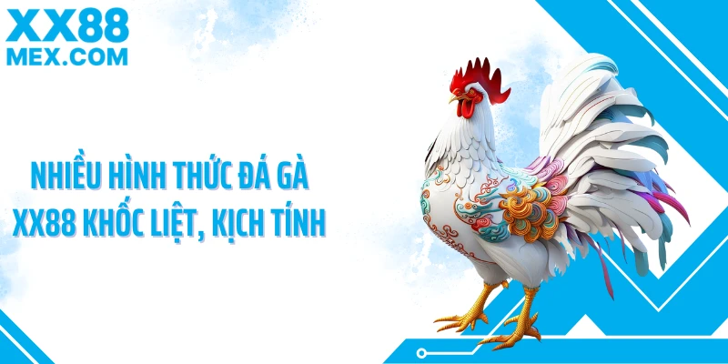 Nhiều hình thức đá gà XX88 khốc liệt, kịch tính